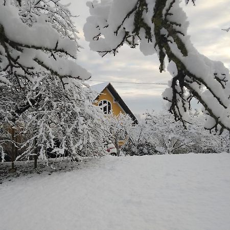 Weichselbaum Biohof Koller 빌라 외부 사진