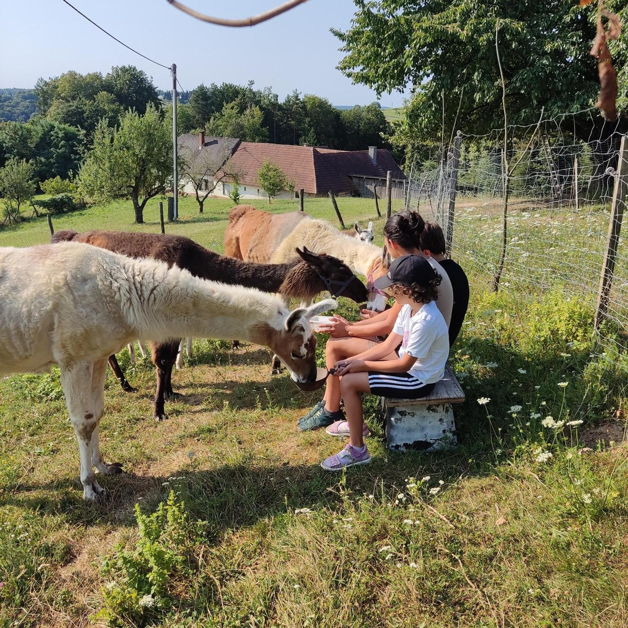 Weichselbaum Biohof Koller 빌라 외부 사진