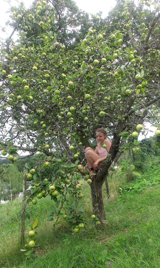 Weichselbaum Biohof Koller 빌라 외부 사진