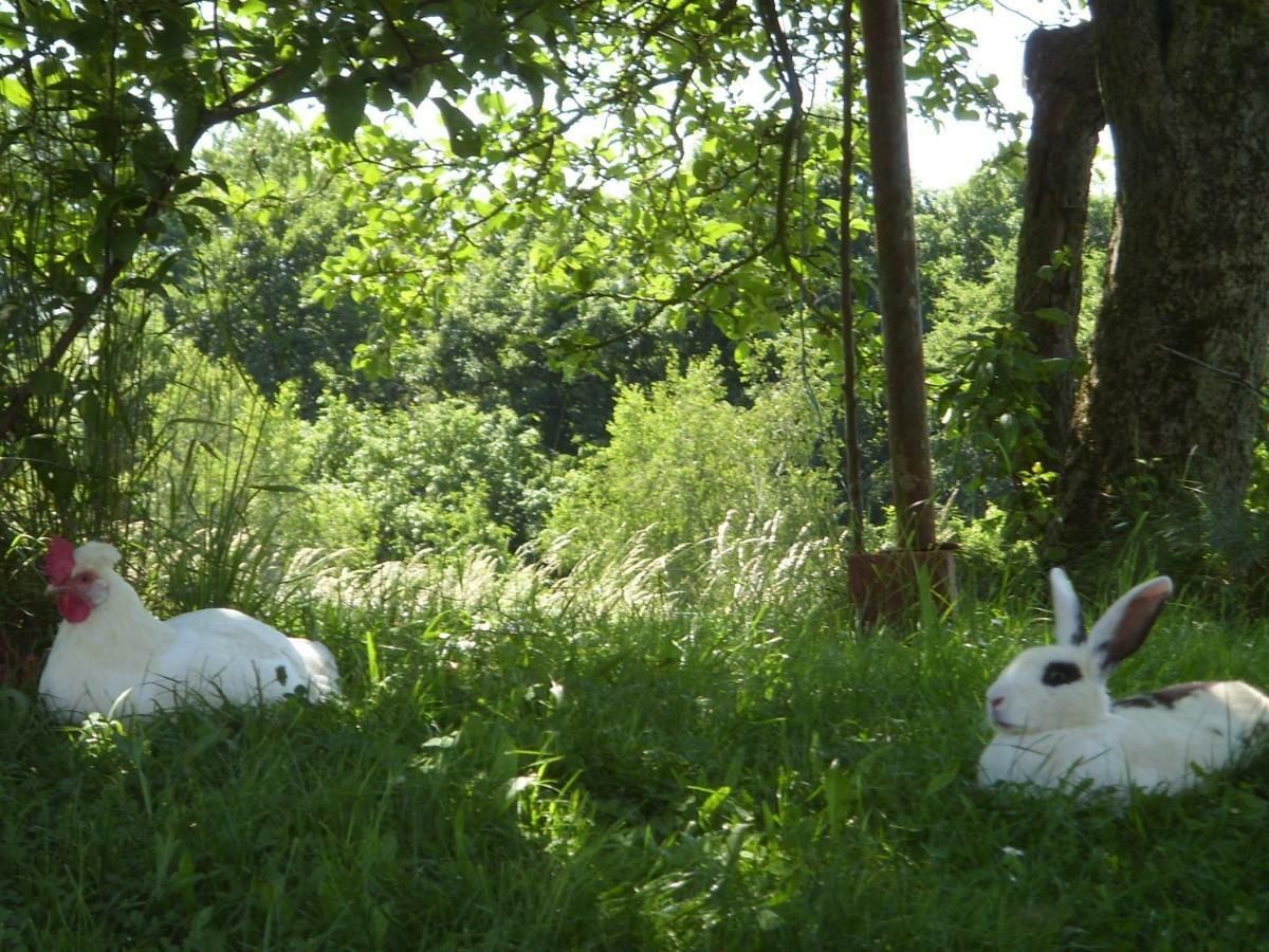 Weichselbaum Biohof Koller 빌라 외부 사진