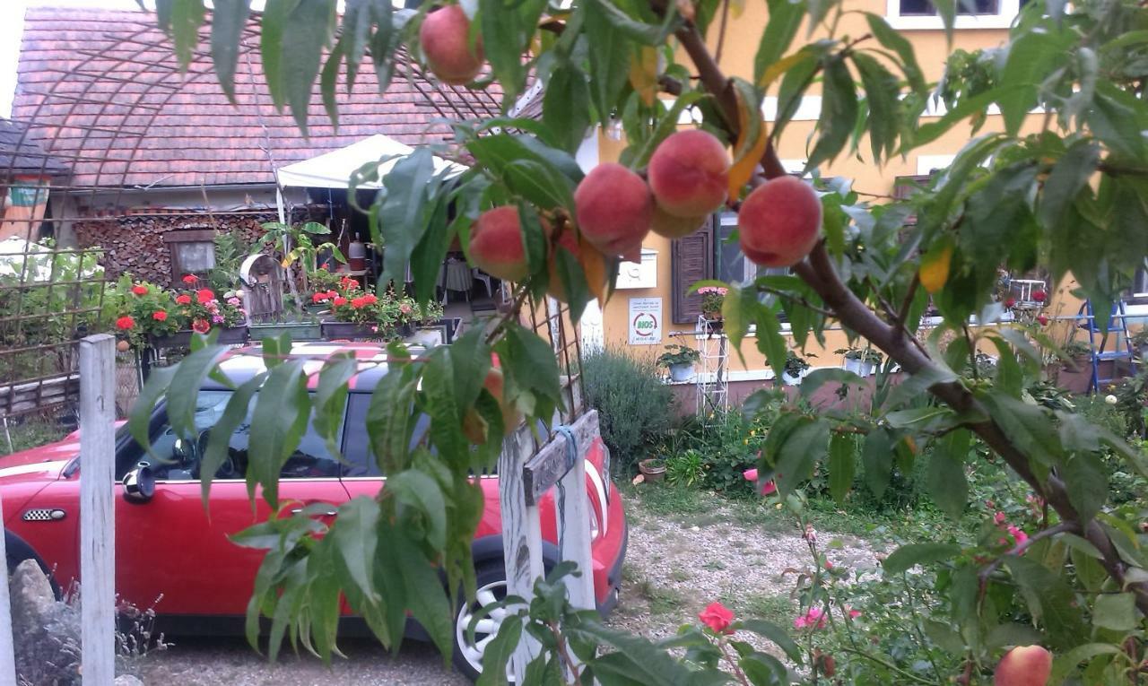 Weichselbaum Biohof Koller 빌라 외부 사진